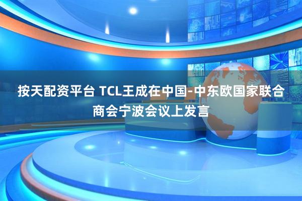 按天配资平台 TCL王成在中国-中东欧国家联合商会宁波会议上发言