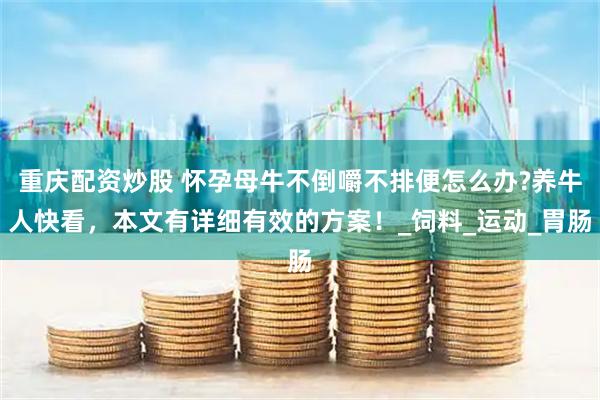 重庆配资炒股 怀孕母牛不倒嚼不排便怎么办?养牛人快看，本文有详细有效的方案！_饲料_运动_胃肠